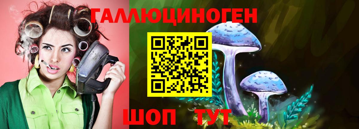 Унеча  Псилоцибиновые грибы мицелий  Вход с VPN 
