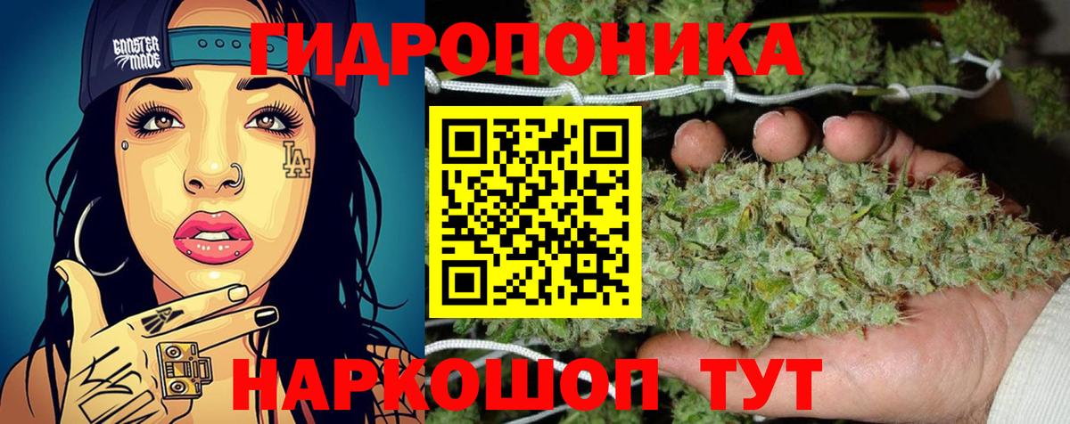 Унеча  Каннабис планчик  Вход с VPN  Шишки марихуана Amnesia  Марихуана сатива  Конопля OG Kush 